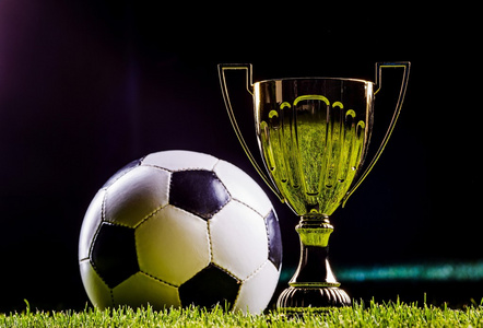 乏成绩的球 乏成绩的球