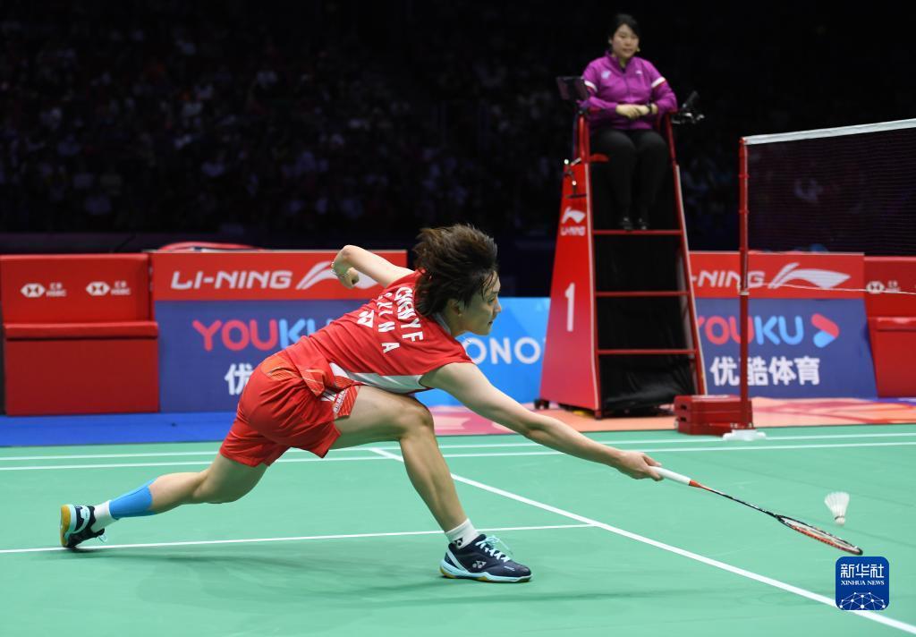 视野开阔的 视野开阔的